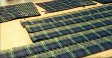 Load image into Gallery viewer, Drummer's Plaid